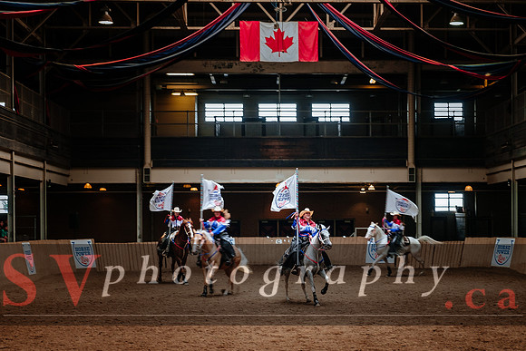 Horsecapades