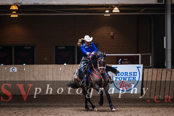 Horsecapades