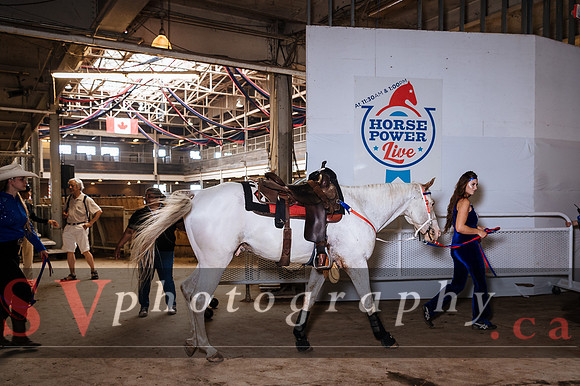 Horsecapades