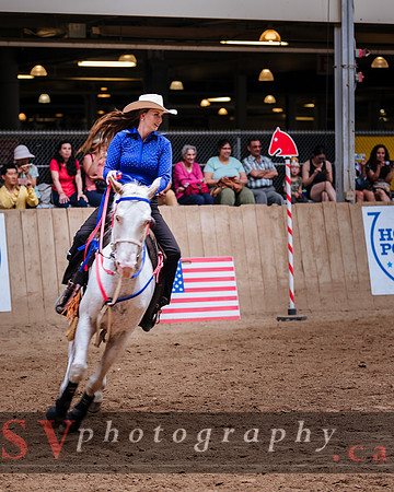 Horsecapades