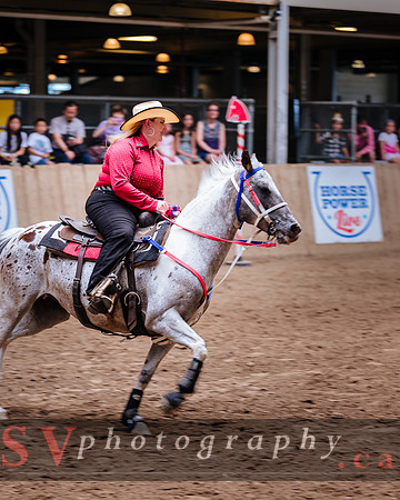 Horsecapades