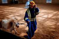 Horsecapades