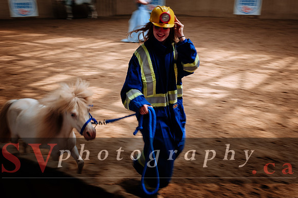 Horsecapades