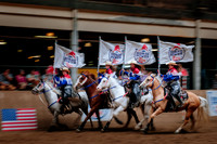 Horsecapades