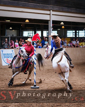Horsecapades