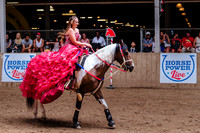 Horsecapades