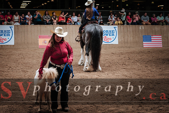 Horsecapades