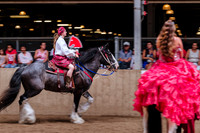 Horsecapades