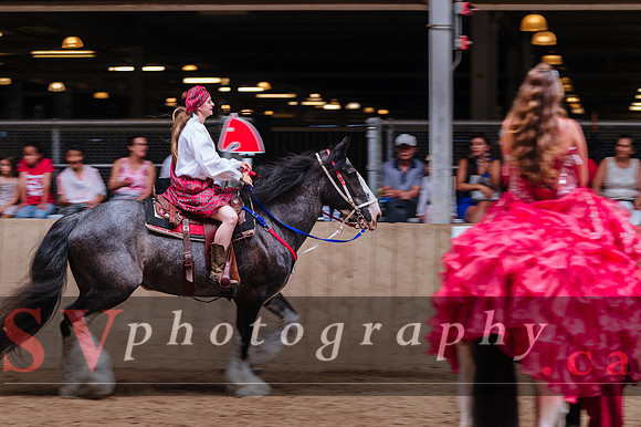 Horsecapades