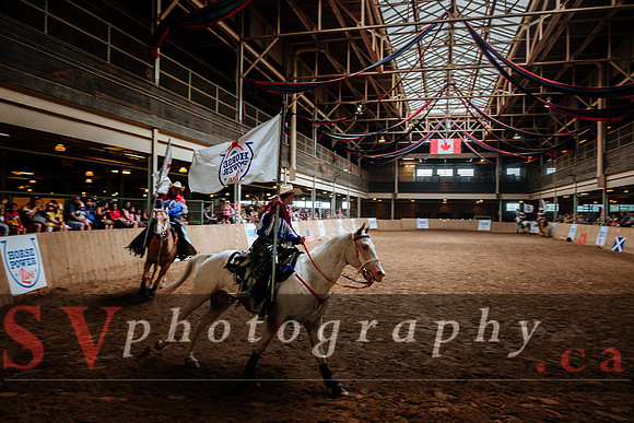 Horsecapades