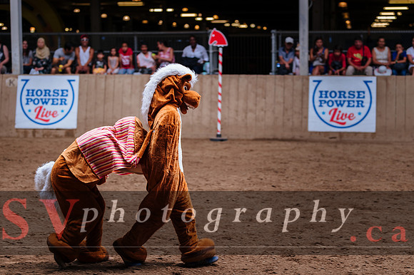 Horsecapades