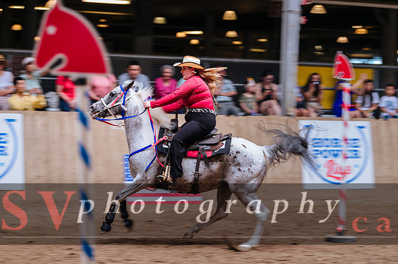 Horsecapades