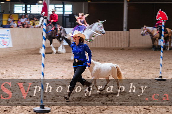 Horsecapades