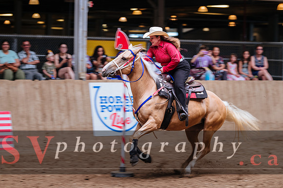Horsecapades