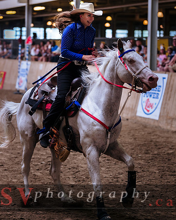 Horsecapades