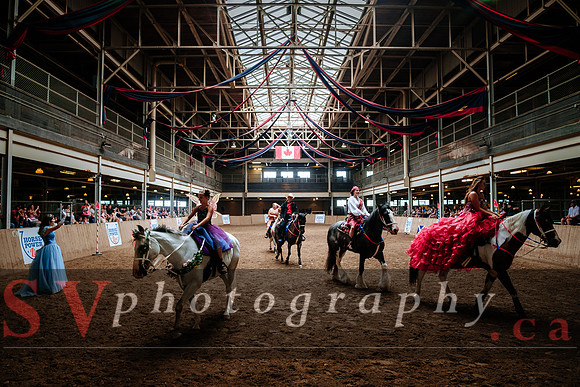 Horsecapades