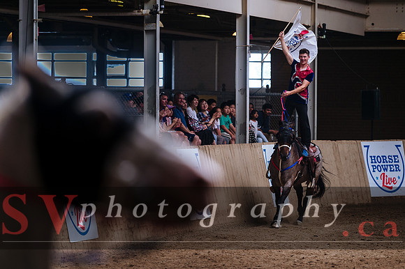 Horsecapades