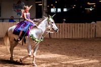 Horsecapades