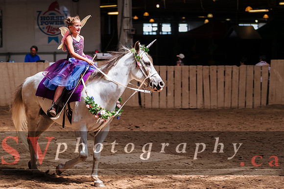 Horsecapades