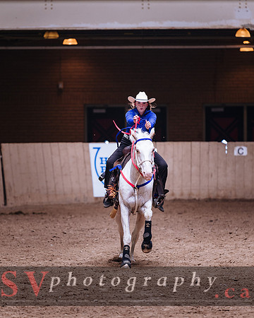Horsecapades