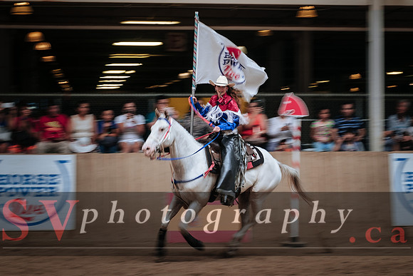 Horsecapades