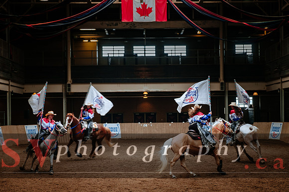 Horsecapades