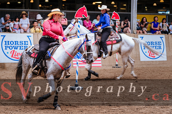 Horsecapades