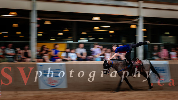 Horsecapades