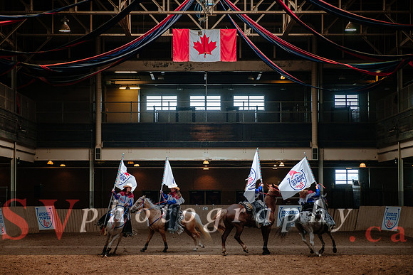 Horsecapades