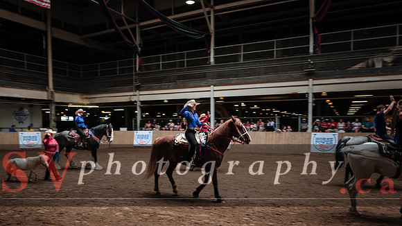 Horsecapades