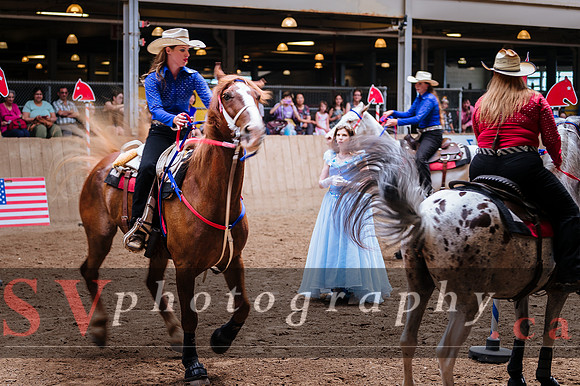 Horsecapades