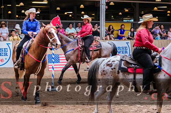 Horsecapades