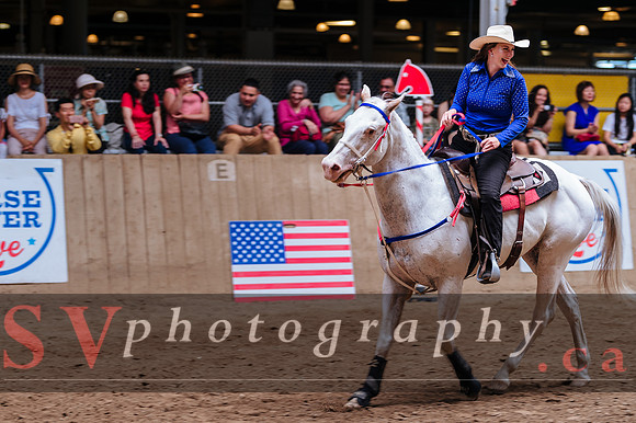 Horsecapades