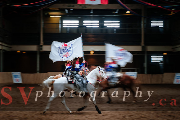 Horsecapades