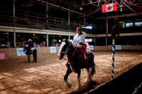 Horsecapades