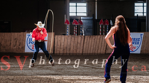 HorseCapades