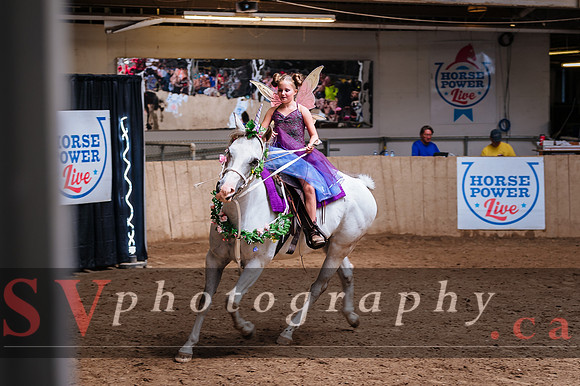 Horsecapades