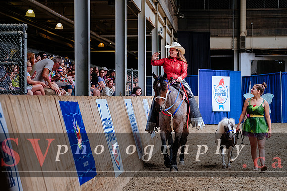HorseCapades