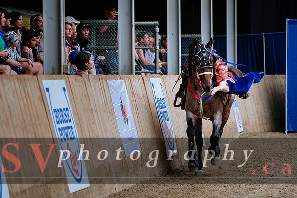HorseCapades