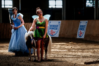HorseCapades