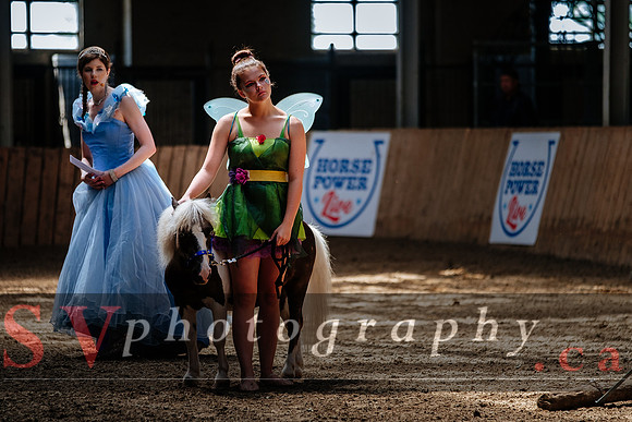 HorseCapades