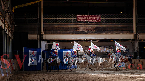 HorseCapades