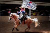 Horsecapades