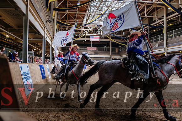 HorseCapades