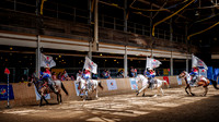 HorseCapades