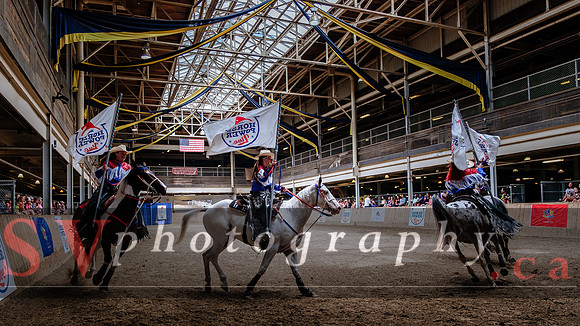 HorseCapades