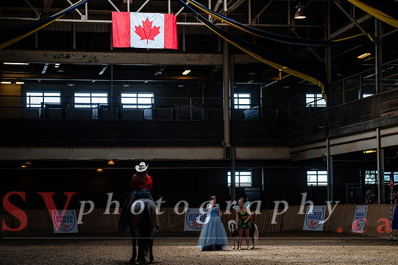 HorseCapades
