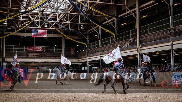 HorseCapades