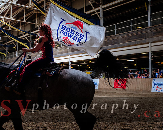 HorseCapades