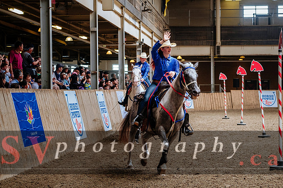 HorseCapades